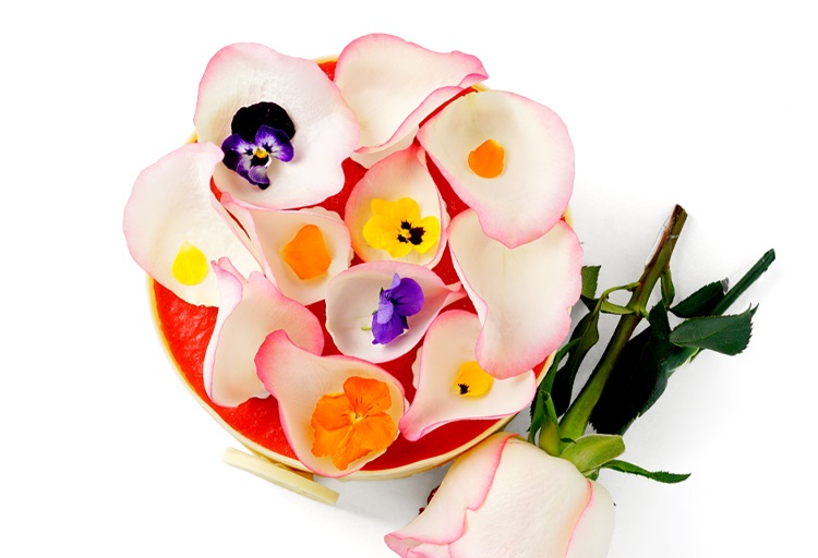 心愿|玫瑰花芝士蛋糕