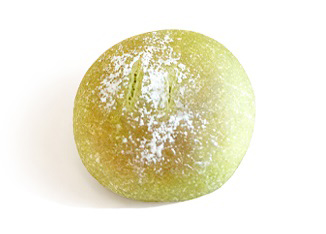 抹茶卡仕达米面包