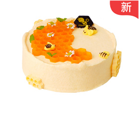 深情|蜂蜜甜杏蛋糕¥225起