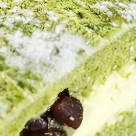 抹茶卡仕达米面包¥25/140克